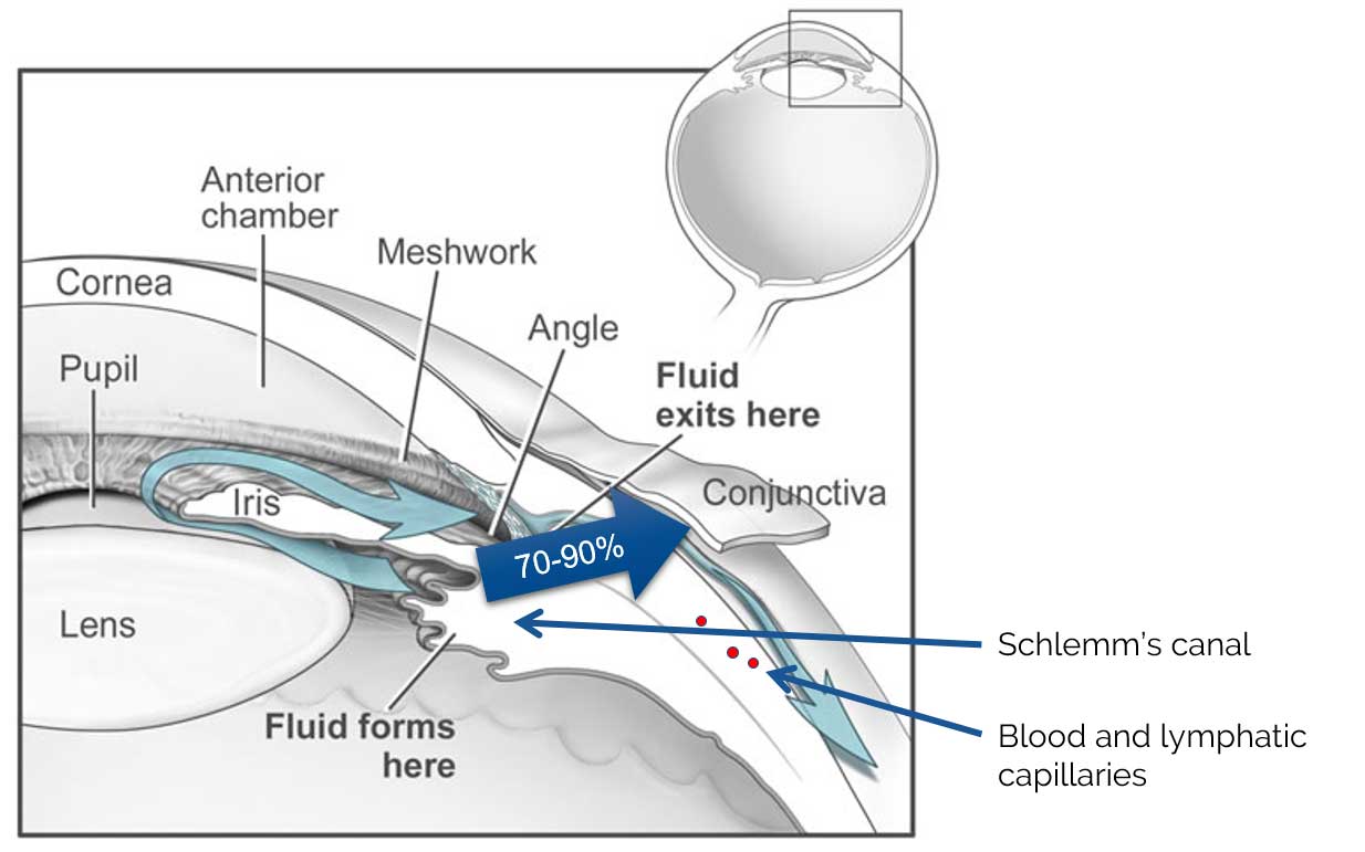 Schlems Canal 2