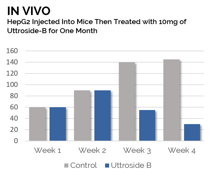 New Graph Utro